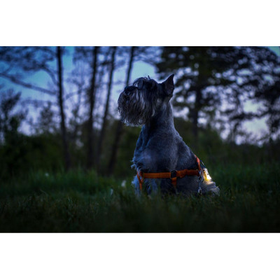 Klíčenka Armytek Zippy - červená