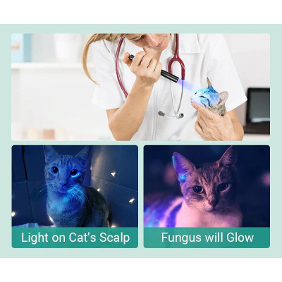 Lampe torche médicale UVE Dr.K3 Nextorch